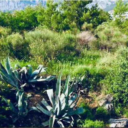 Apartment Mila Makarska Luaran gambar