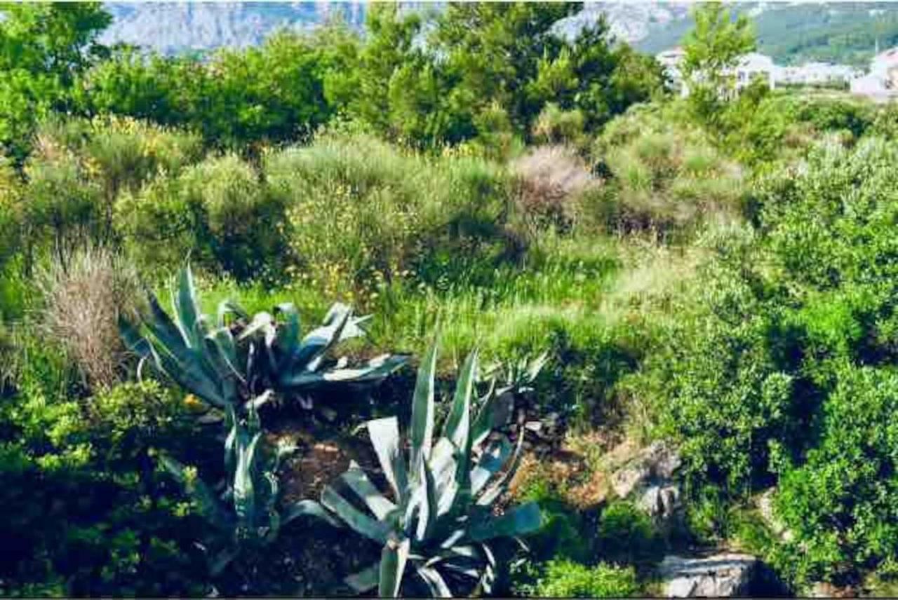 Apartment Mila Makarska Luaran gambar